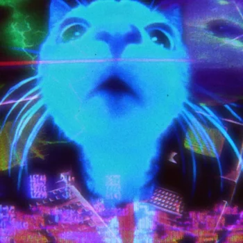 Cover of Disco 00